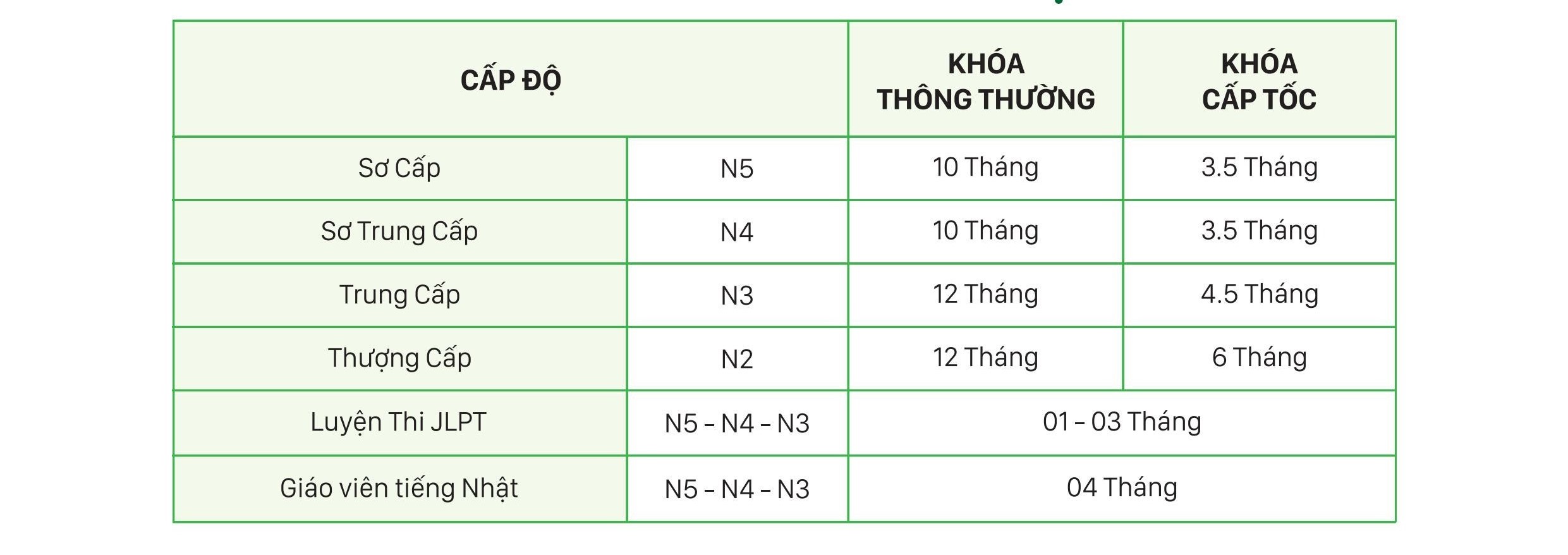 Chương trình đào tạo ngoại ngữ Minh Á